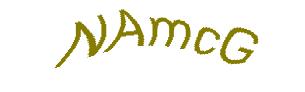 عبارت امنیتی