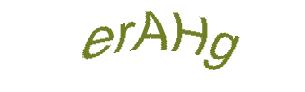عبارت امنیتی