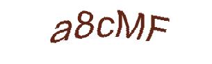 عبارت امنیتی