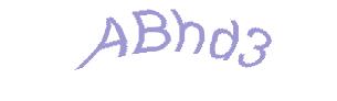 عبارت امنیتی