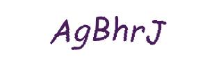 عبارت امنیتی