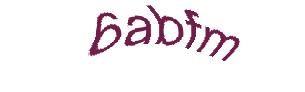 عبارت امنیتی