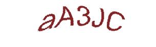 عبارت امنیتی