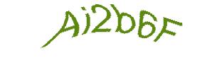عبارت امنیتی