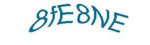 عبارت امنیتی