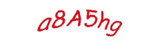 عبارت امنیتی