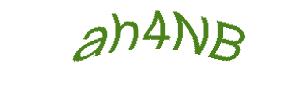 عبارت امنیتی