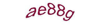 عبارت امنیتی