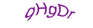 عبارت امنیتی