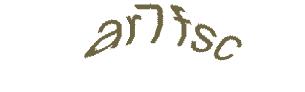 عبارت امنیتی