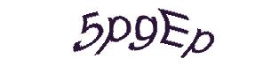 عبارت امنیتی