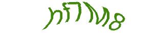 عبارت امنیتی
