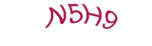 عبارت امنیتی