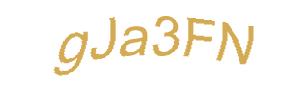 عبارت امنیتی