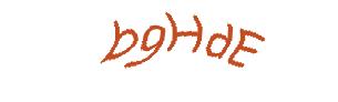 عبارت امنیتی