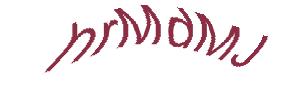 عبارت امنیتی