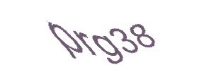 عبارت امنیتی