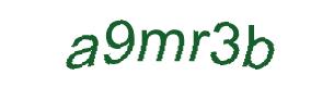 عبارت امنیتی