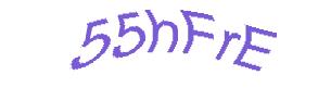 عبارت امنیتی