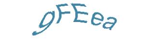 عبارت امنیتی