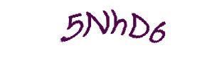عبارت امنیتی