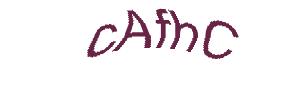 عبارت امنیتی
