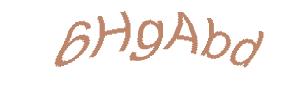عبارت امنیتی