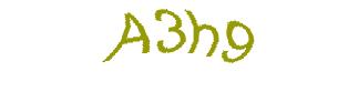 عبارت امنیتی