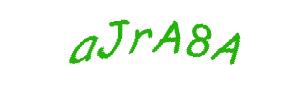 عبارت امنیتی