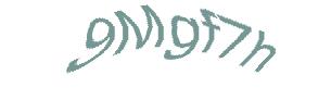 عبارت امنیتی