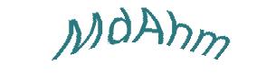 عبارت امنیتی