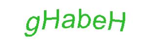 عبارت امنیتی
