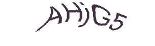 عبارت امنیتی
