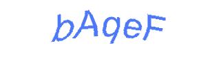 عبارت امنیتی