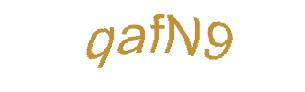 عبارت امنیتی