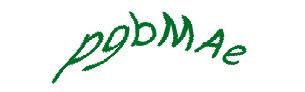 عبارت امنیتی