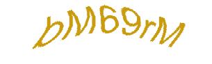 عبارت امنیتی