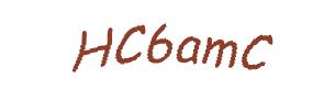 عبارت امنیتی