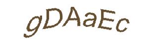 عبارت امنیتی