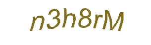 عبارت امنیتی