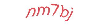 عبارت امنیتی