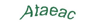 عبارت امنیتی