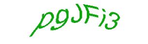عبارت امنیتی