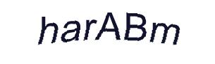عبارت امنیتی