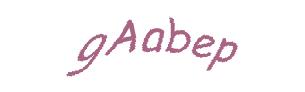 عبارت امنیتی