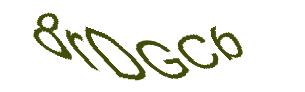 عبارت امنیتی