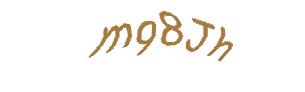 عبارت امنیتی