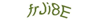 عبارت امنیتی