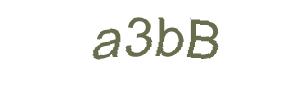 عبارت امنیتی