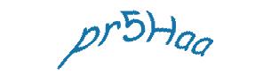عبارت امنیتی